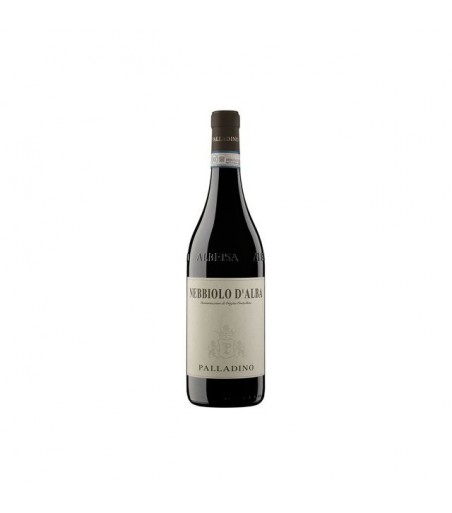 Nebbiolo d'Alba DOC - Palladino