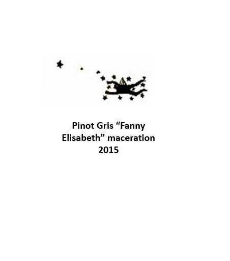 Pinot Gris “Fanny Elisabeth” maceration - Julien Meyer