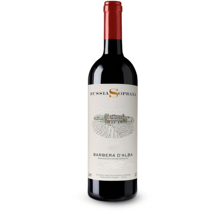 Barbera d'Alba DOC 2013  - Bussia Soprana