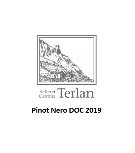 pinot-nero-doc-terlano